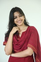Ananthika Sanilkumar Stills